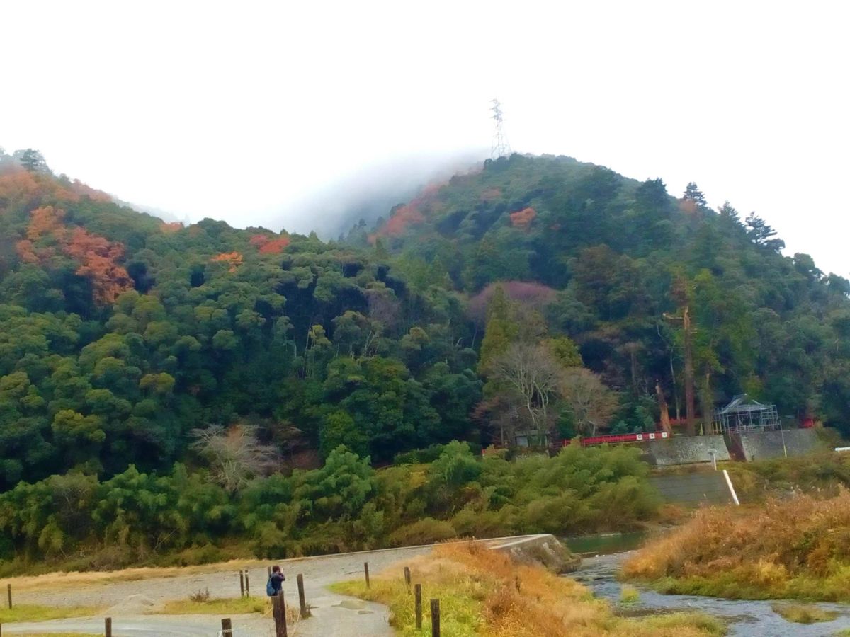 山から湯気が．．．♨