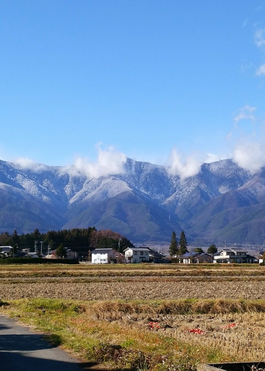 冬将軍様！🙇暫し、お待ち下さい🙇