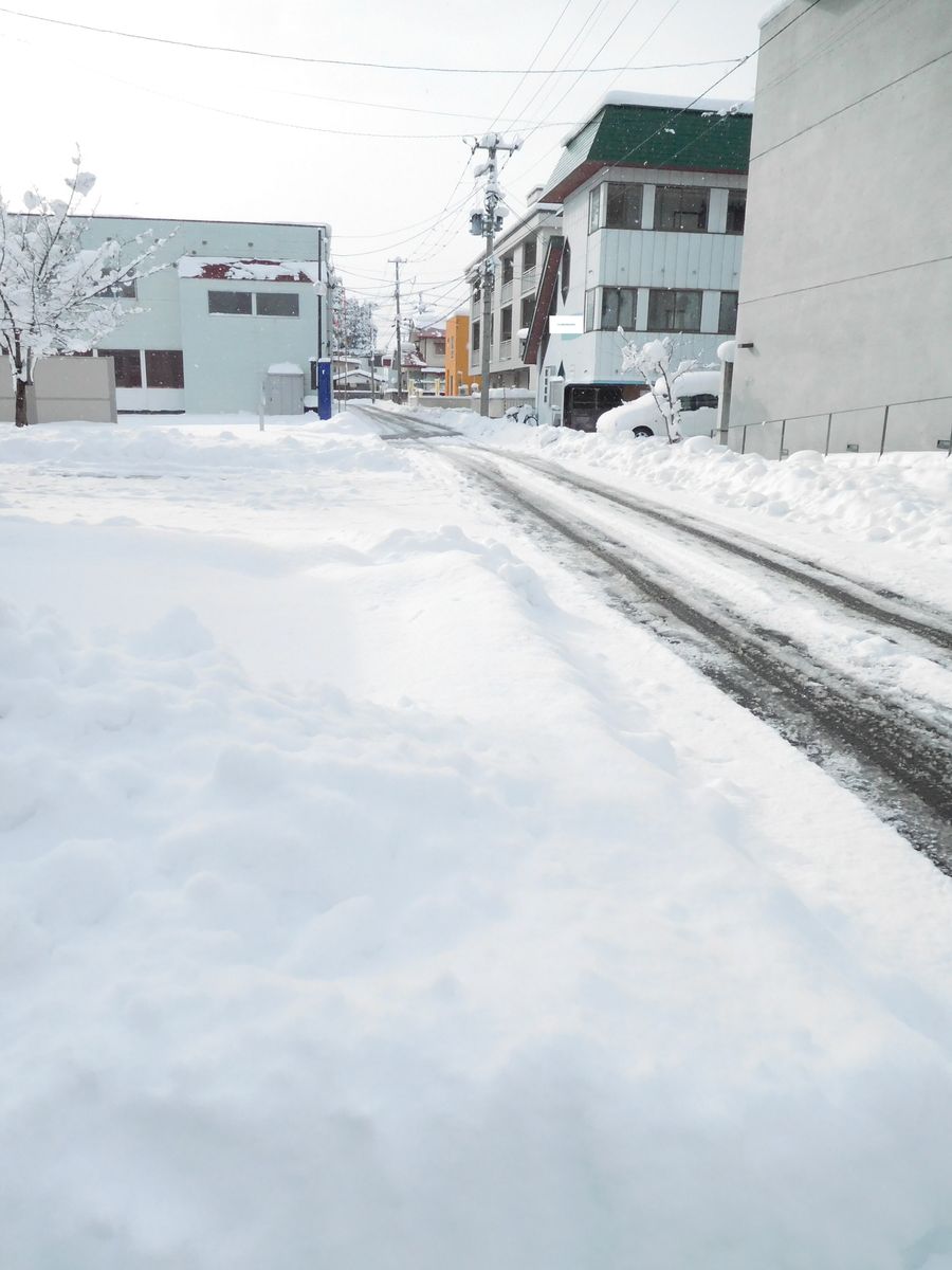 雪の朝