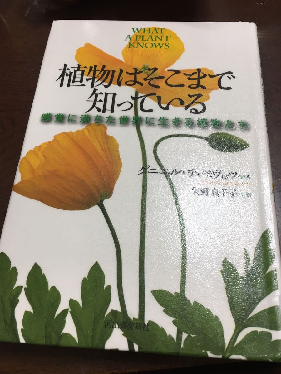 植物はそこまで知っている！