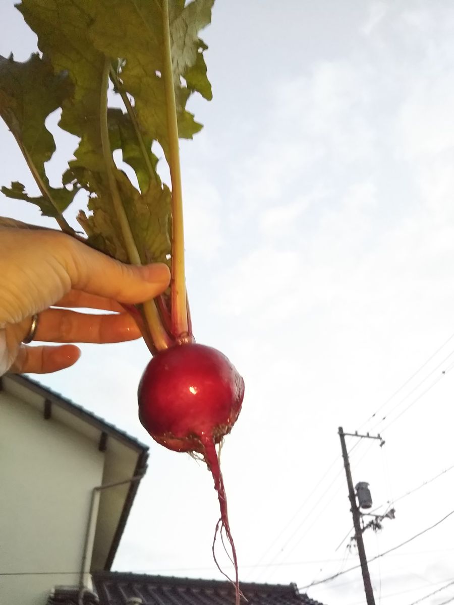 今日も😆とったど～✨