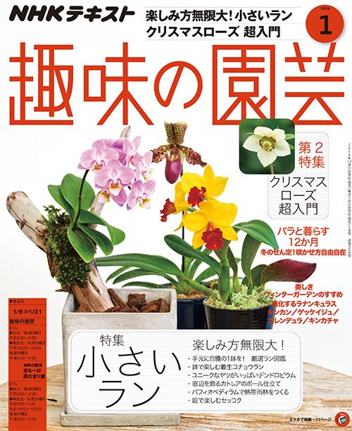 【テキスト掲載情報】『趣味の園芸』1月号に掲載されたメンバーを発表！