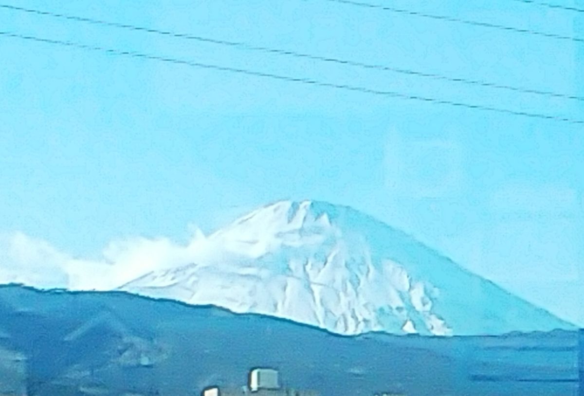 富士山と椿とキンカン