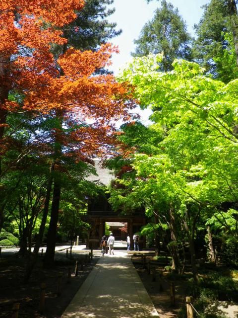 平林寺の