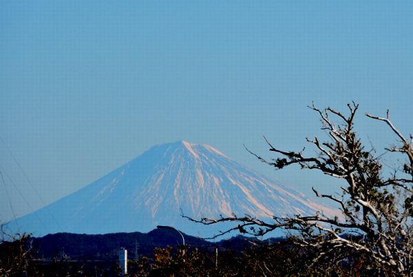 富士山～。ウォーキングMS⑥337日目(2162日)