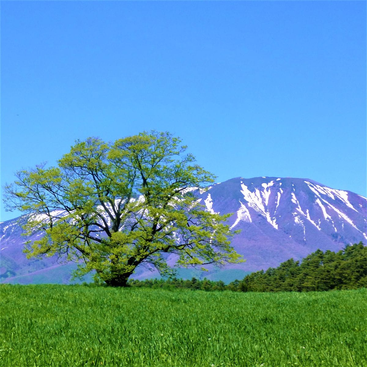 我がふるさとの岩手山（南部片富士）🗻