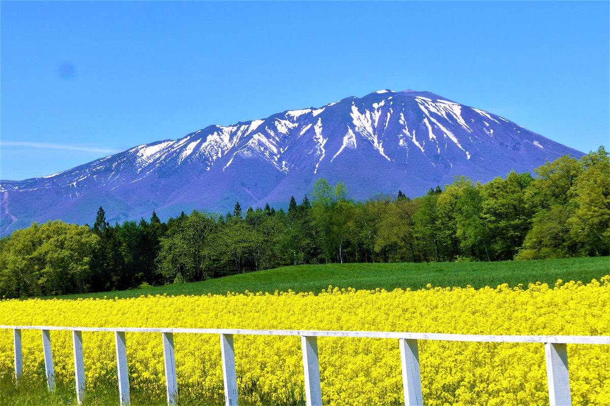 我がふるさとの岩手山（南部片富士）🗻