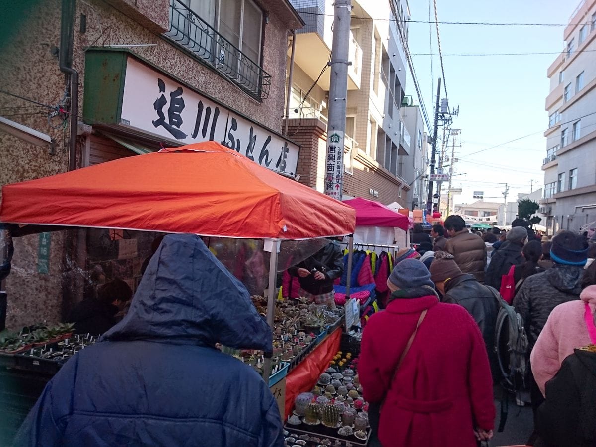 「世田谷ボロ市」は植物も充実！！