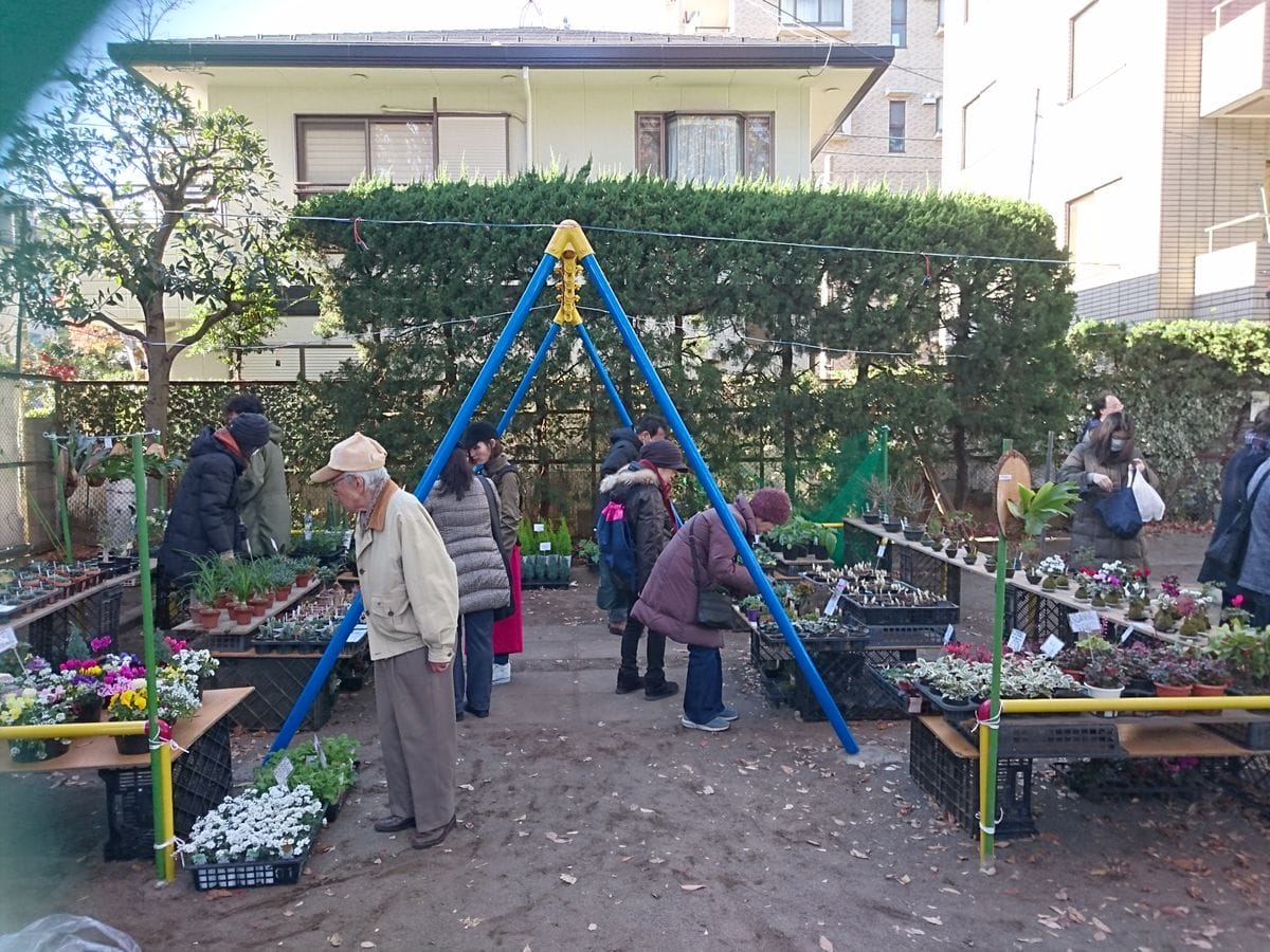 「世田谷ボロ市」は植物も充実！！