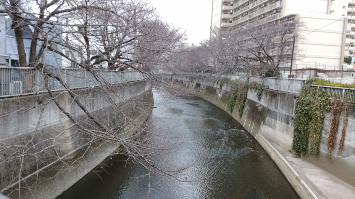 はつのぼり