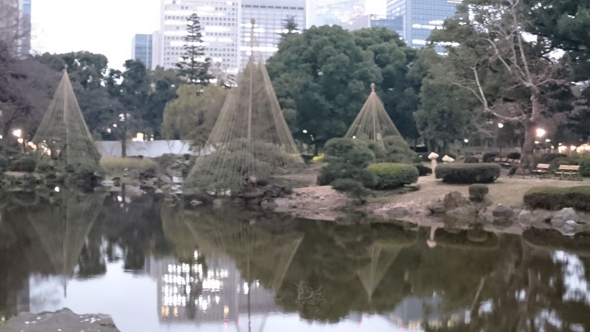 雪吊りと霜除け@日比谷公園