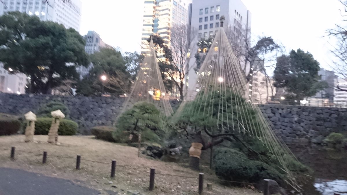 雪吊りと霜除け@日比谷公園