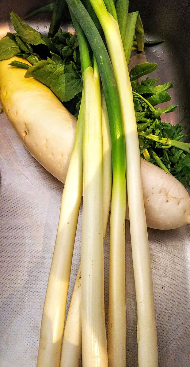 今日のお野菜🥕