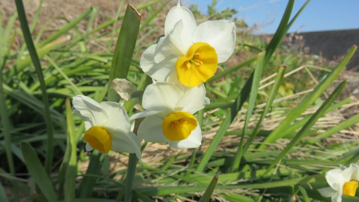 冬の浜辺へ寄ってみた～1