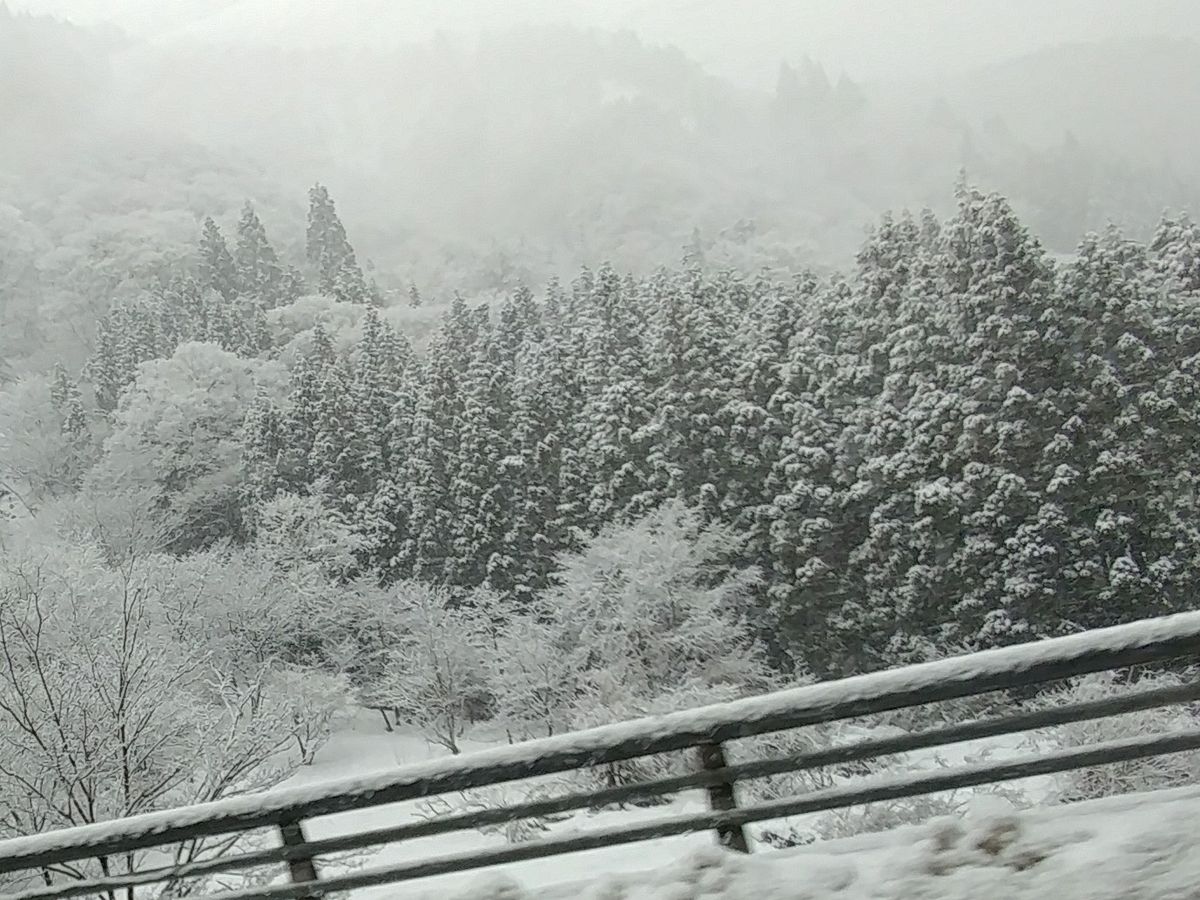 銀世界❄️