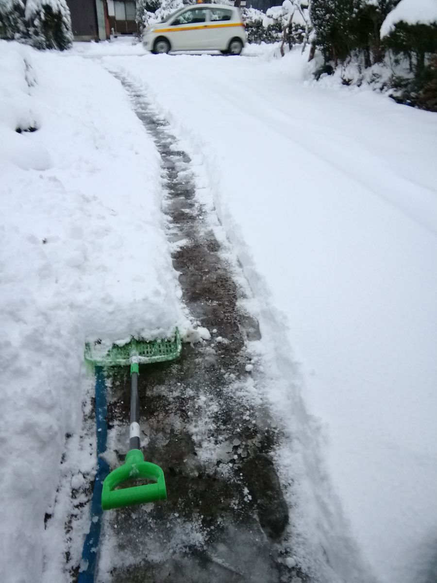 積雪50センチ！