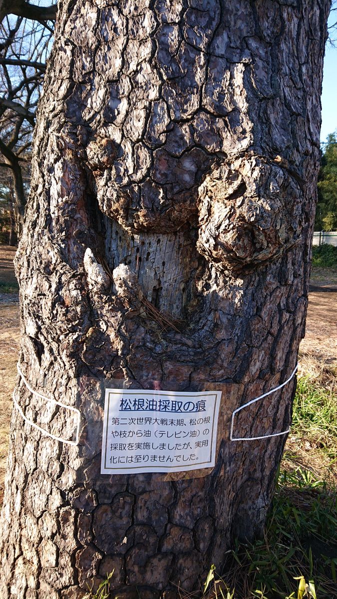 ○○小学校跡地にて