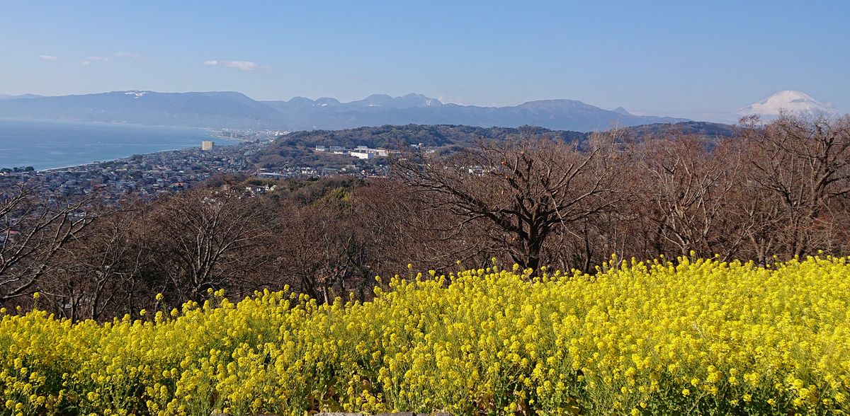 暖かな１日でした(その2)