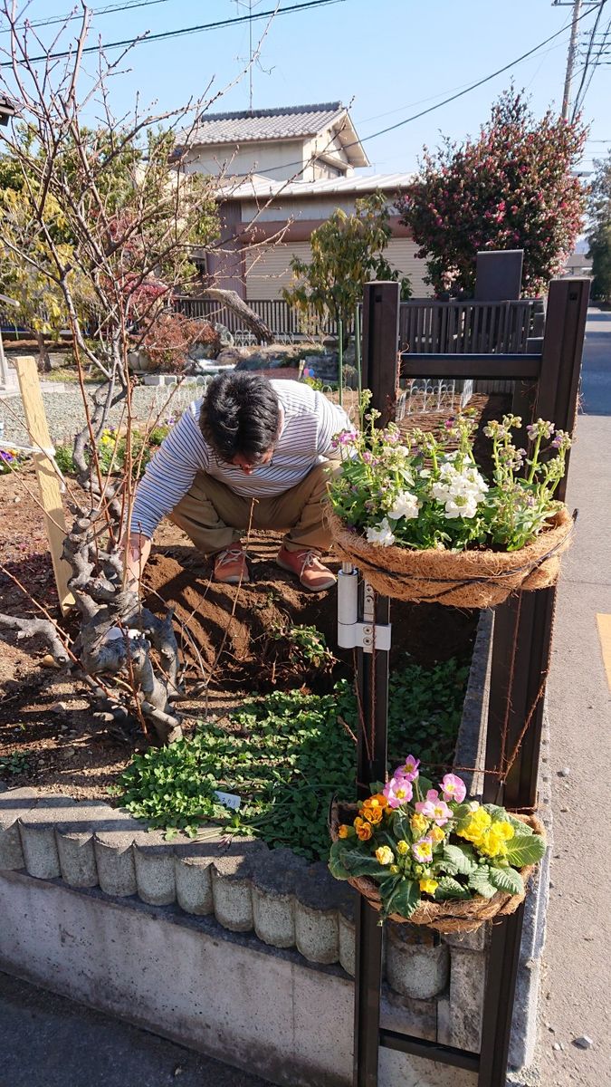 わが家の植樹祭🌳