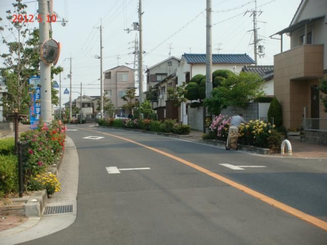 通勤路の両側は薔薇・バラ・ばら