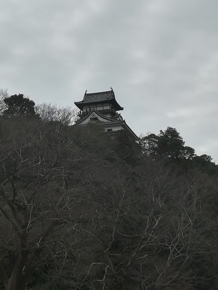 身近な観光スポット🏯