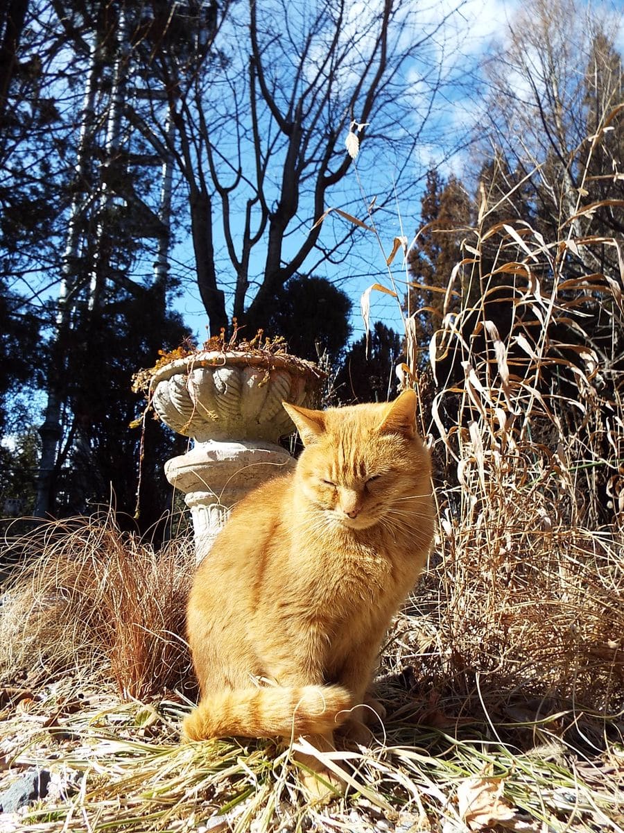 ゆづもクレナもひざの上