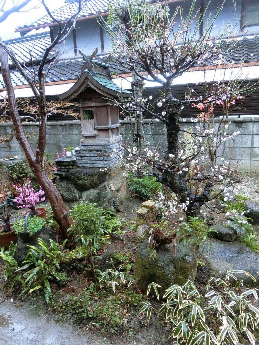 芽出しの雨とは言えないけれど