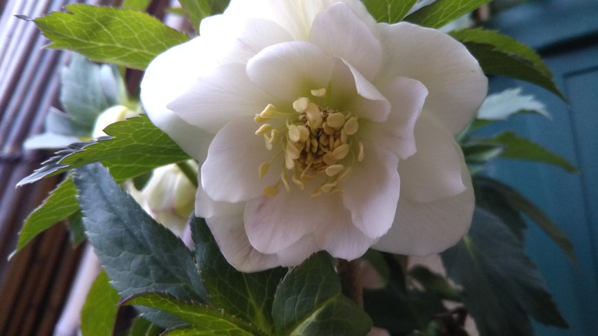 春の陽気で花壇造ります～💖