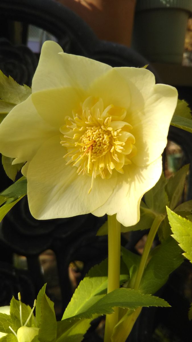 春の陽気で花壇造ります～💖