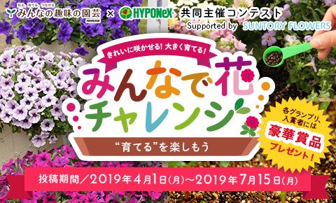 「みんなで花チャレンジ」コンテスト Q&amp;Aコーナーです