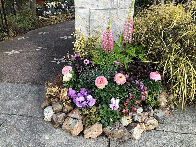 春花壇に植え替え