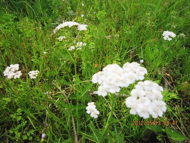 久しぶりに恵みの雨