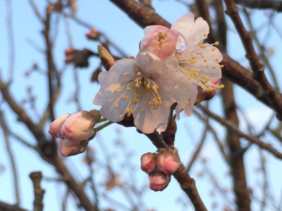 あられが降って寒かった〜〜