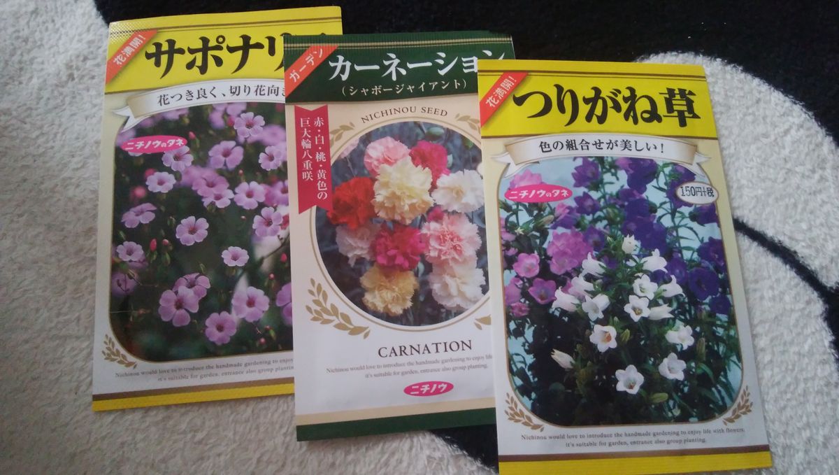 種を買いました(´▽`)ノ