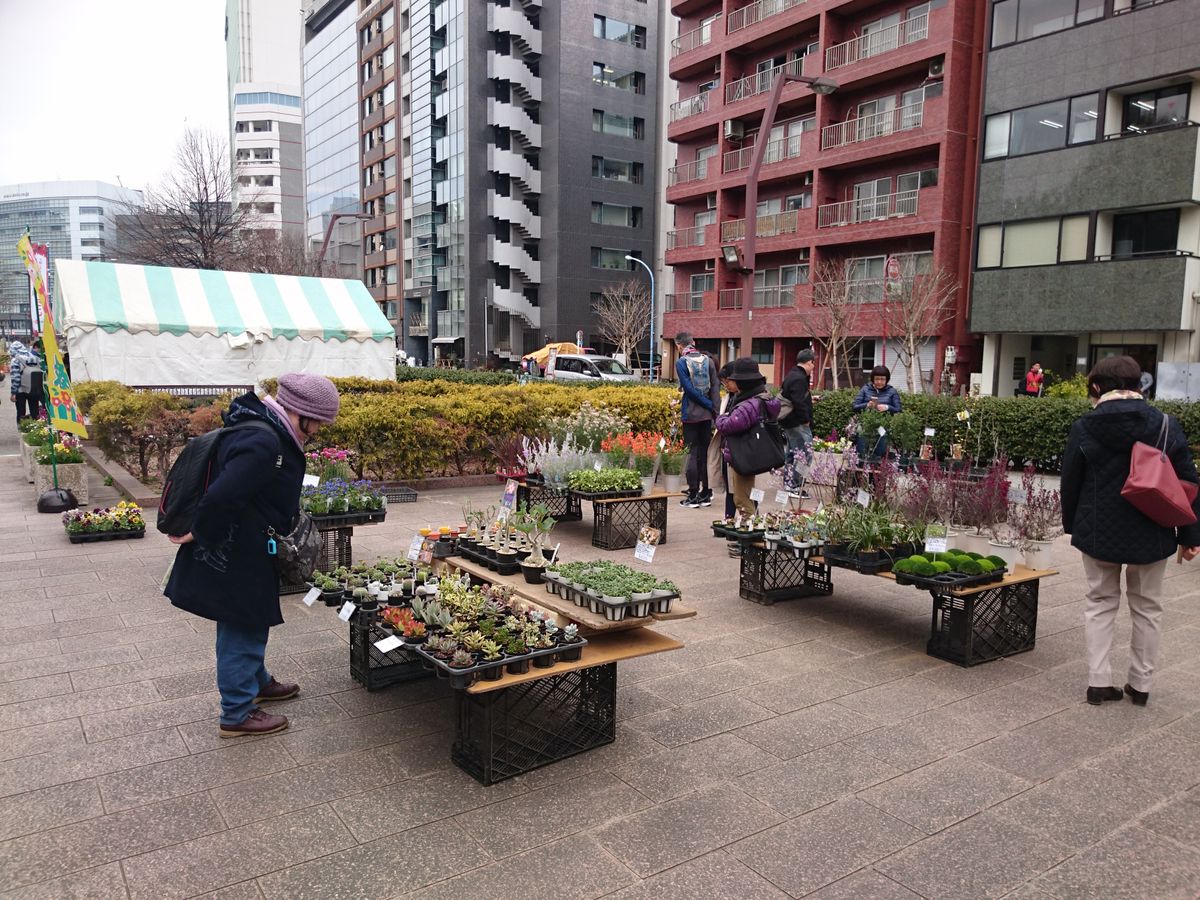 新宿御苑花市場