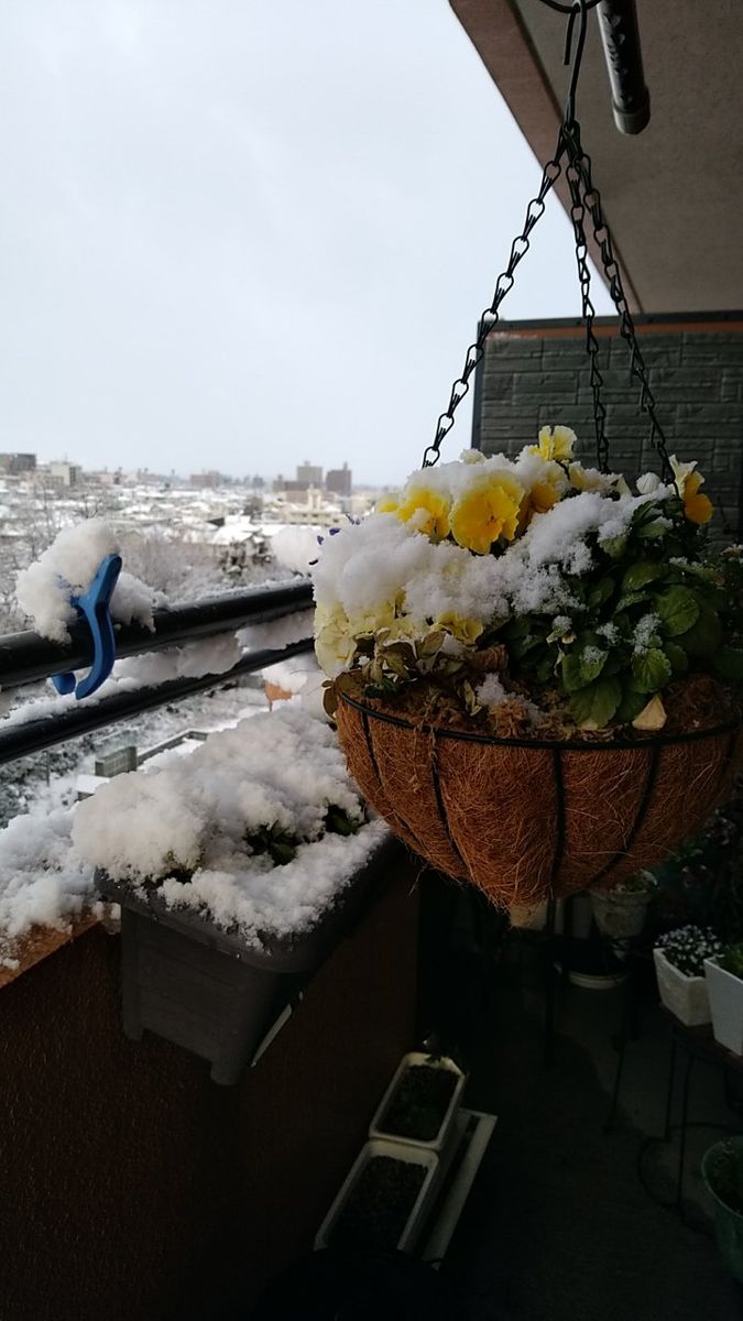 お天気が荒れてます😥