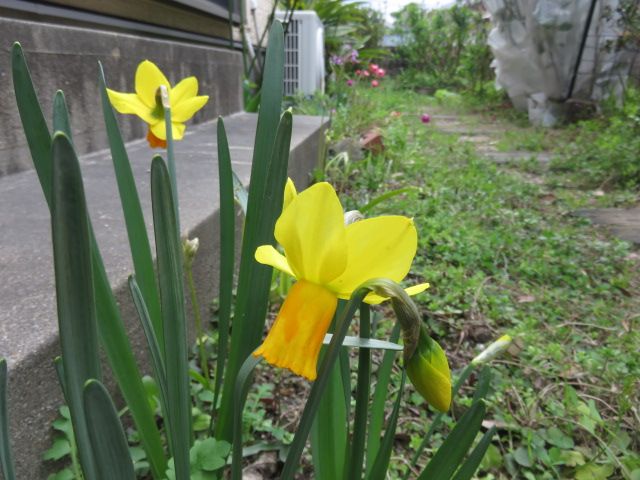 春は馬車に乗って⑧