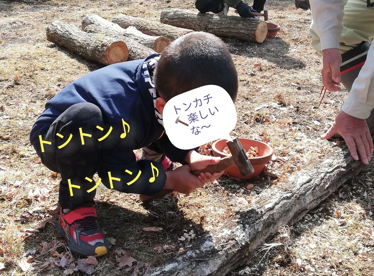 椎茸の植菌体験