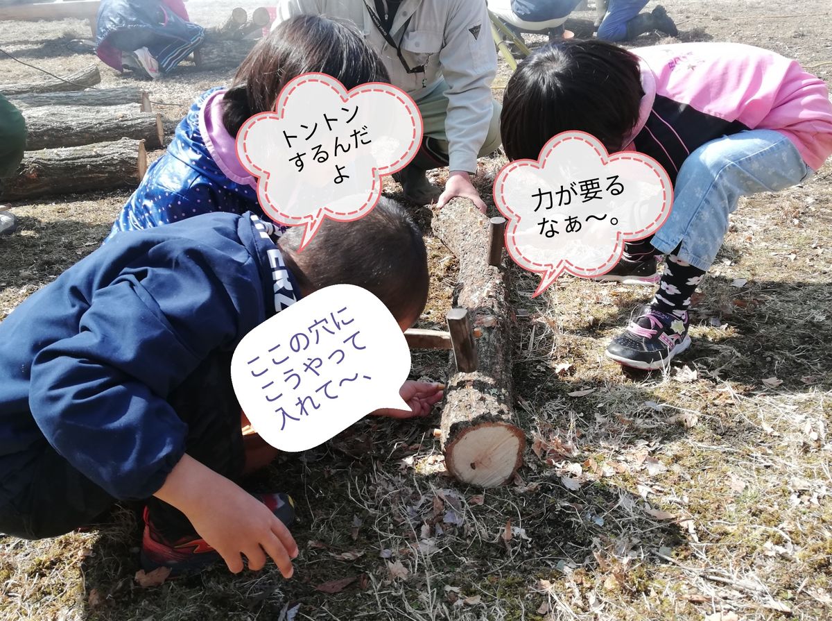 椎茸の植菌体験