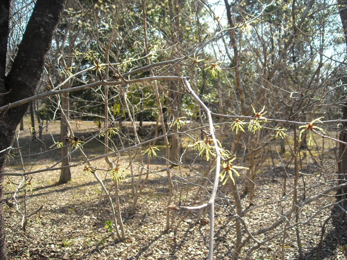 珍しく　みちのく湖畔公園へ　その２