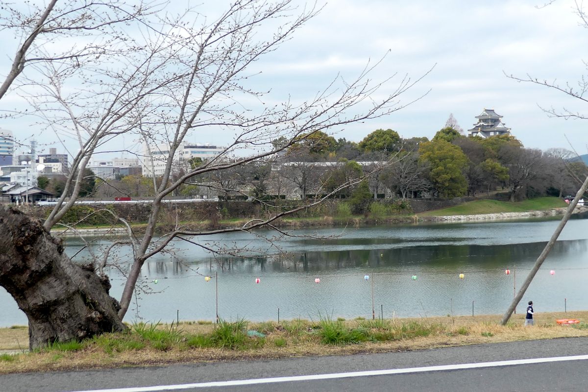 岡山桜カーニバル