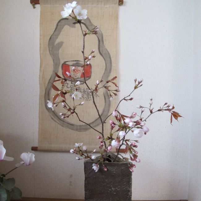 山桜