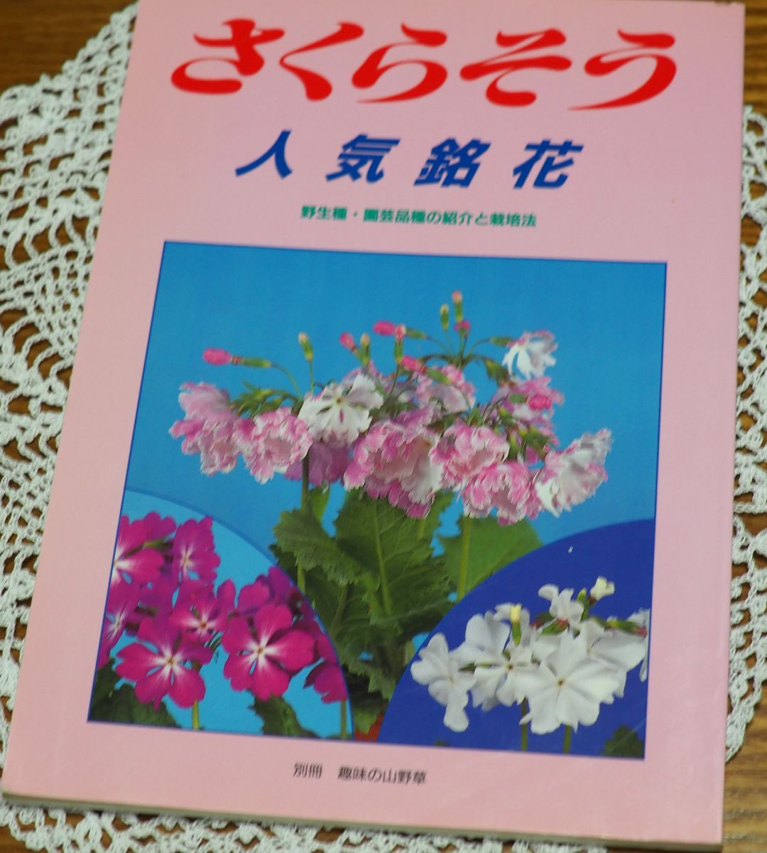 桜草とのご縁（ドールの画像あり、苦手な方、ご注意）