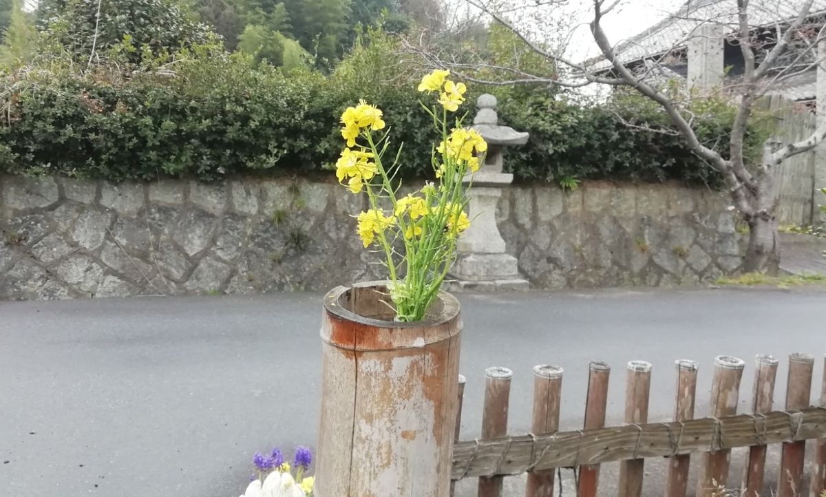 咲いた咲いたチューリップの花が