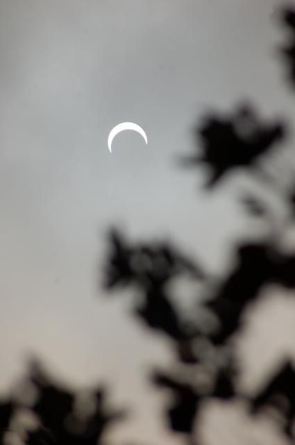 札幌は部分日食・・曇天