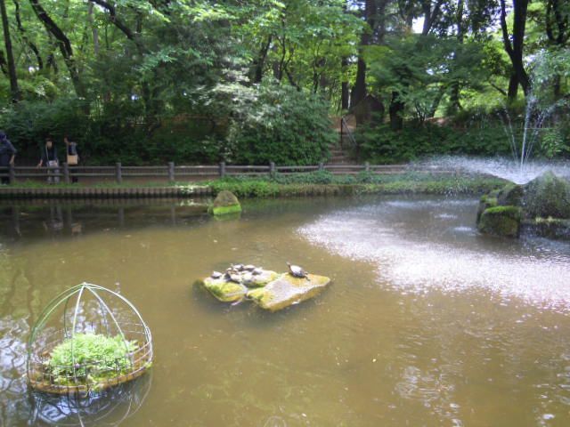 与野公園です②