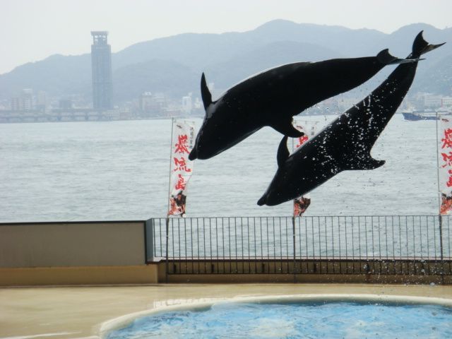 修学旅行２日目！