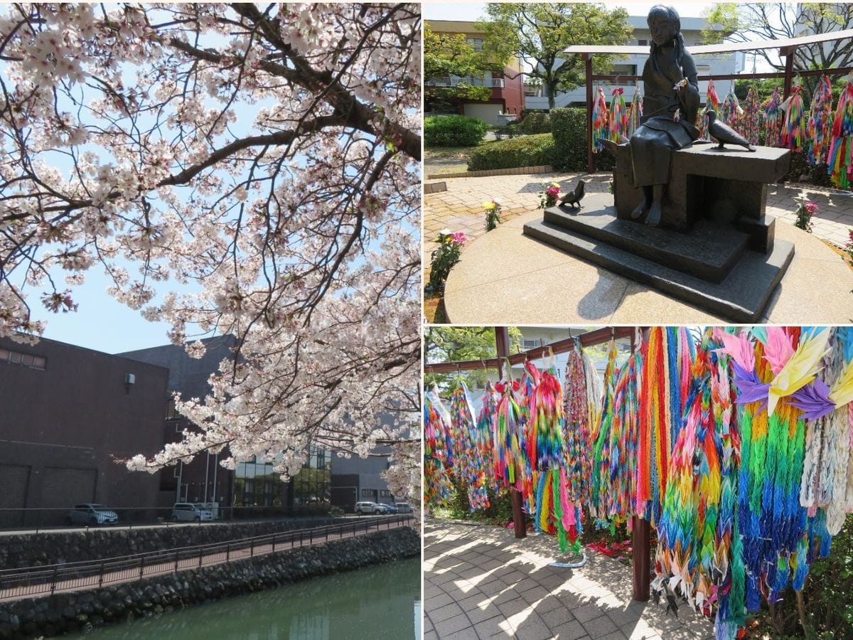 平和市民公園で🌸花見の散歩