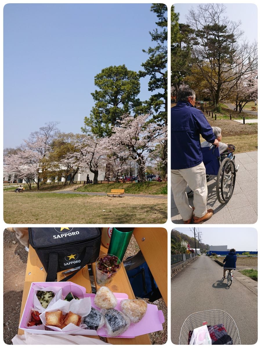 お花見に🚲行きました