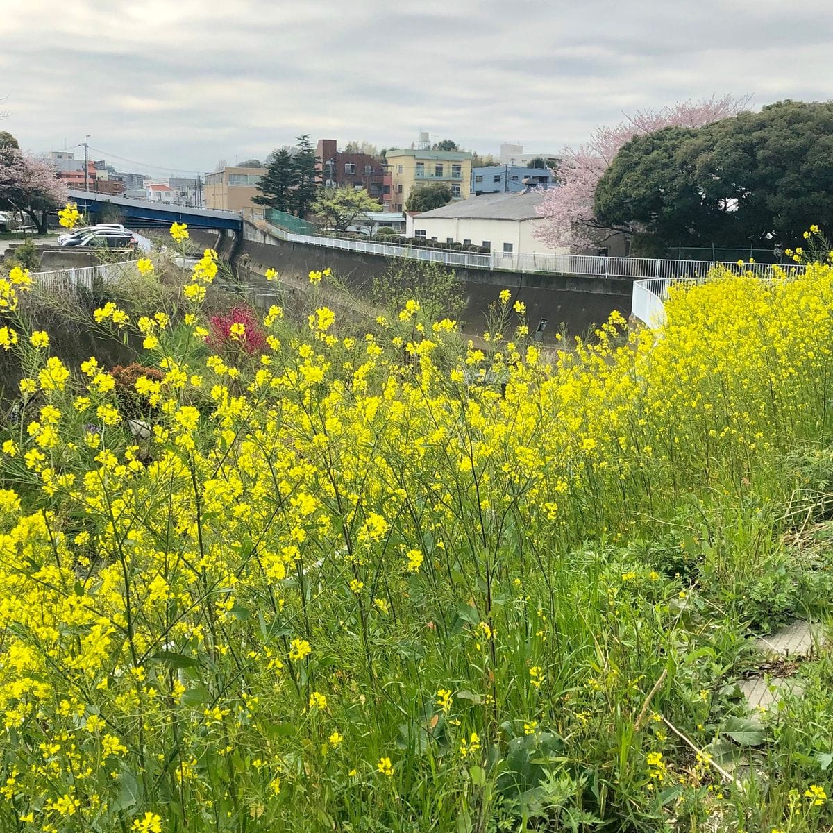 ほんの晴れ間に